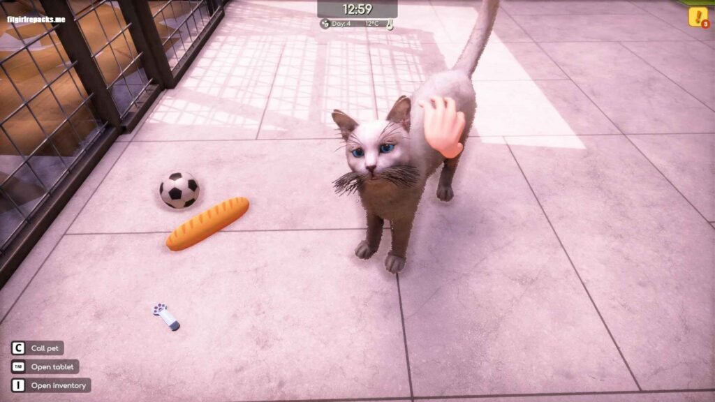 Animal Shelter 2