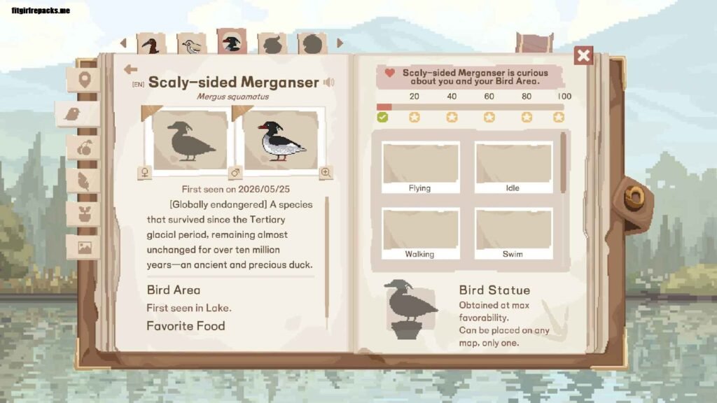 Birdwatching Notebook