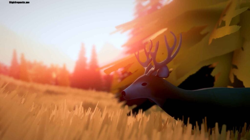 Over the Hill